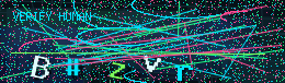 login captcha challenge